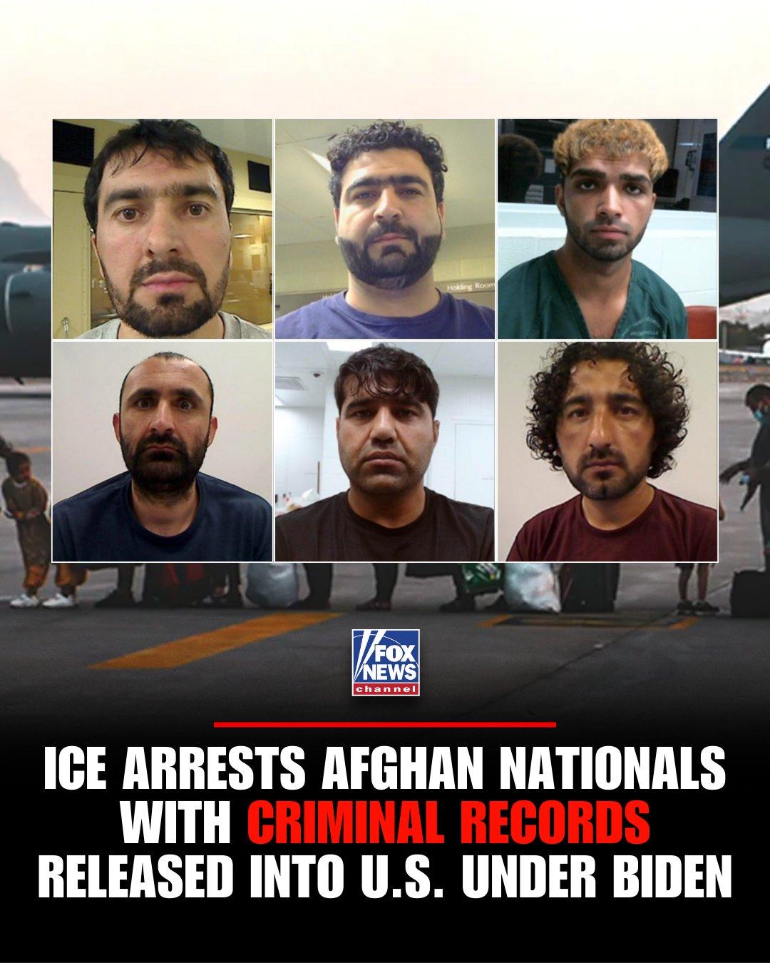 新闻快讯——“罪中之罪”：美国移民与海关执法局（ICE）宣布，逮捕多名阿富汗公民