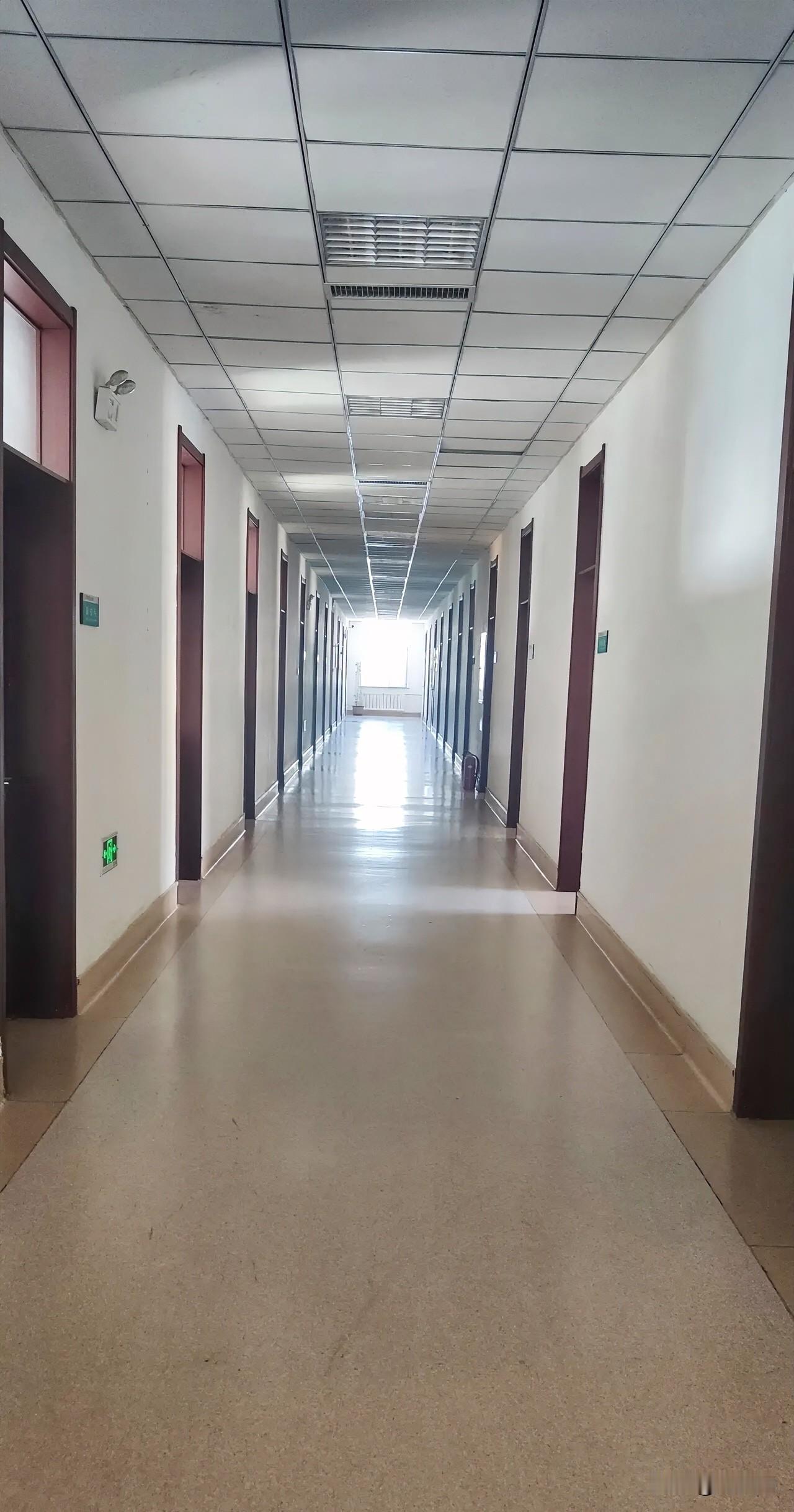 随着医院免陪医疗护理员的诞生，医疗护理员技能培训补贴将以职业技能培训项目纳入项目