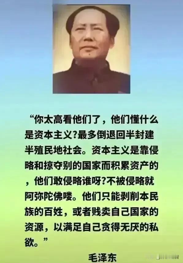 你太高看他们了，他们懂什么是资本主义？最多倒退回半封建半殖民地社会。资本主义是靠