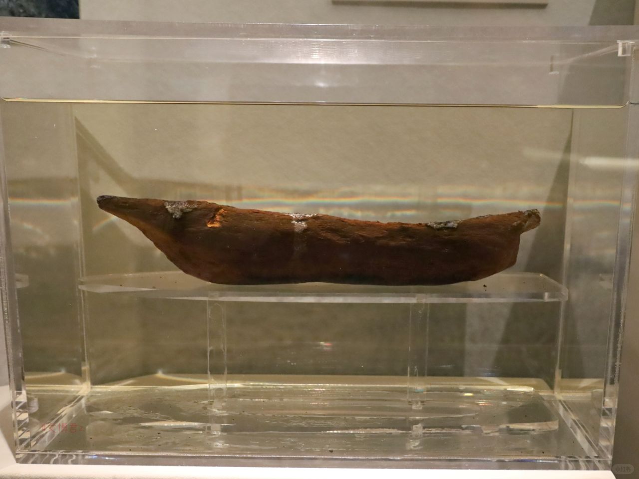 惊奇！7000年前居然就有模型玩家了？！