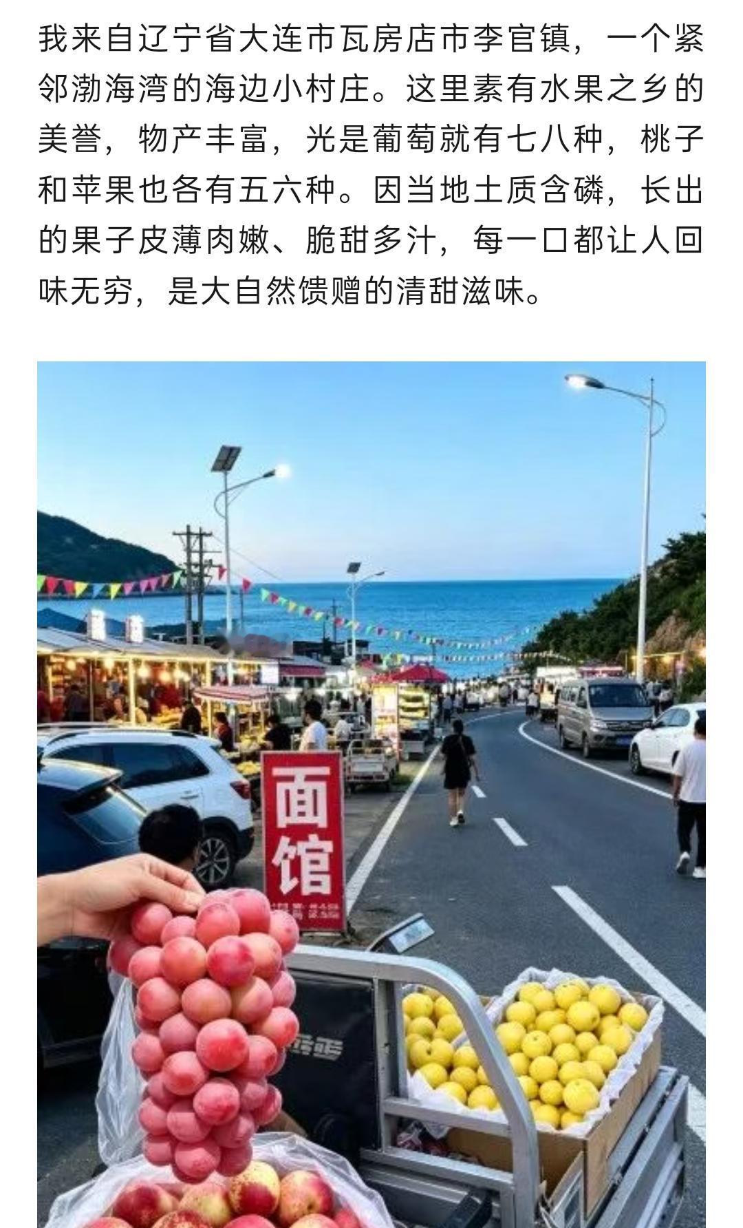 瓦房店市李官镇一个靠近海边的小村庄，这里是水果之乡