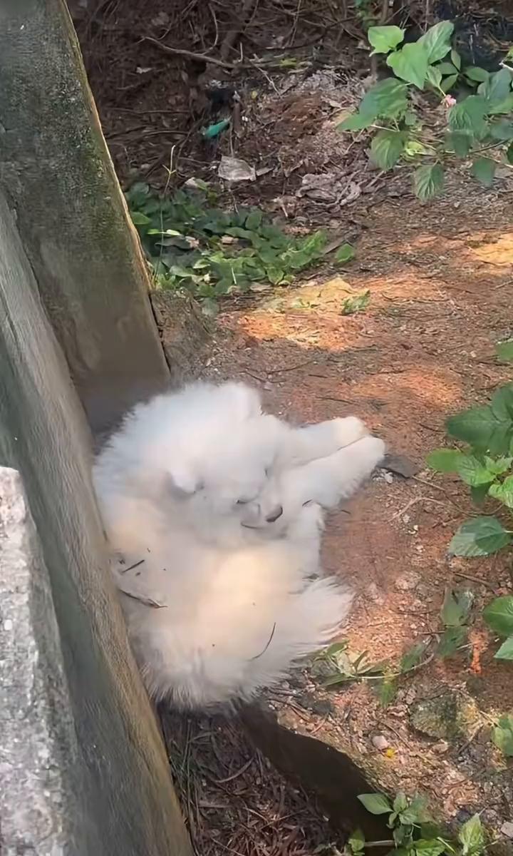 坐标在婺源北路里面的彩城。