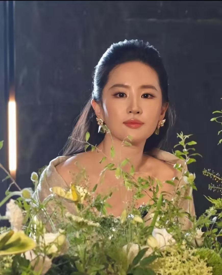 刘亦菲停工900天复出 状态如何？ 