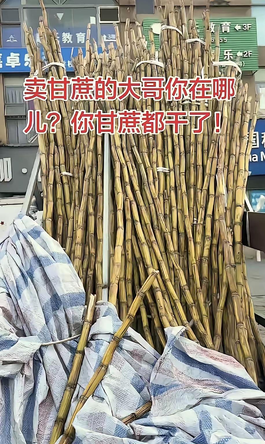 太暖心了，四川，一男子发现楼下常年摆摊卖甘蔗的大哥从过年之后就没出摊，路边三轮车