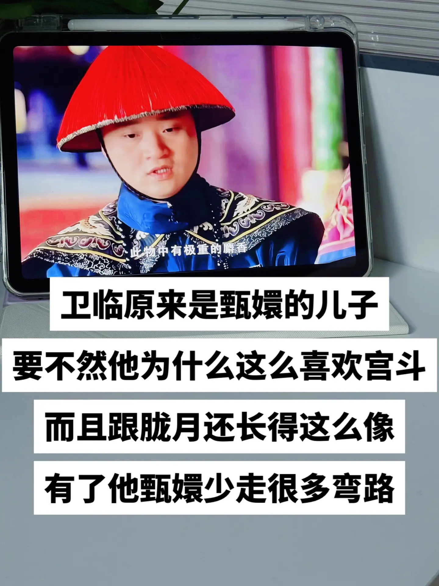 卫临原来是甄嬛的孩子。