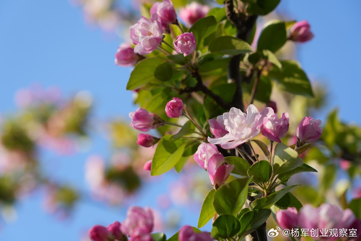【股权“约”的闭环｜从制度约束到自我约束】“人、合、分、进、退、约”——股权六字