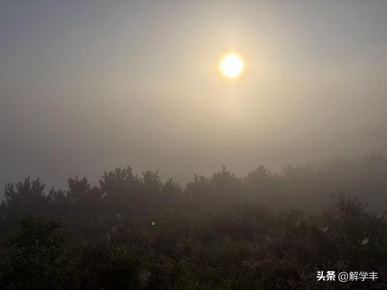 a股经过一轮大幅度调整，马上就是阶段底部，就在下周概率大，
大部分主力机构，也认