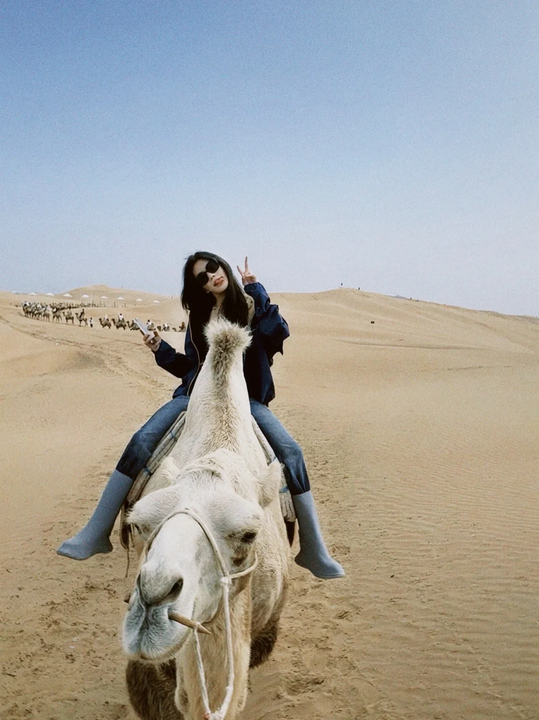 dazz滤镜太绝了！！