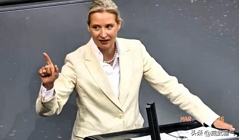 26年3月22日，德国选择党联合主席魏德尔表示，欧洲必须承认这样一个现实，如果没