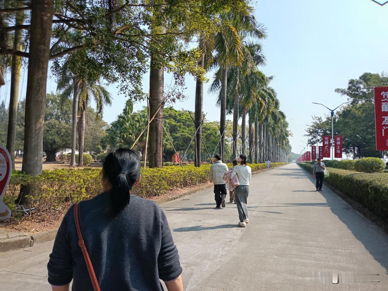 寒冬腊月，在贵州能体验到冬天的寒气，但在沿海城市，仍然暖如春，艳阳高照，走在路上