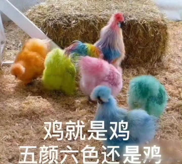 对巨婴耀祖男无好感