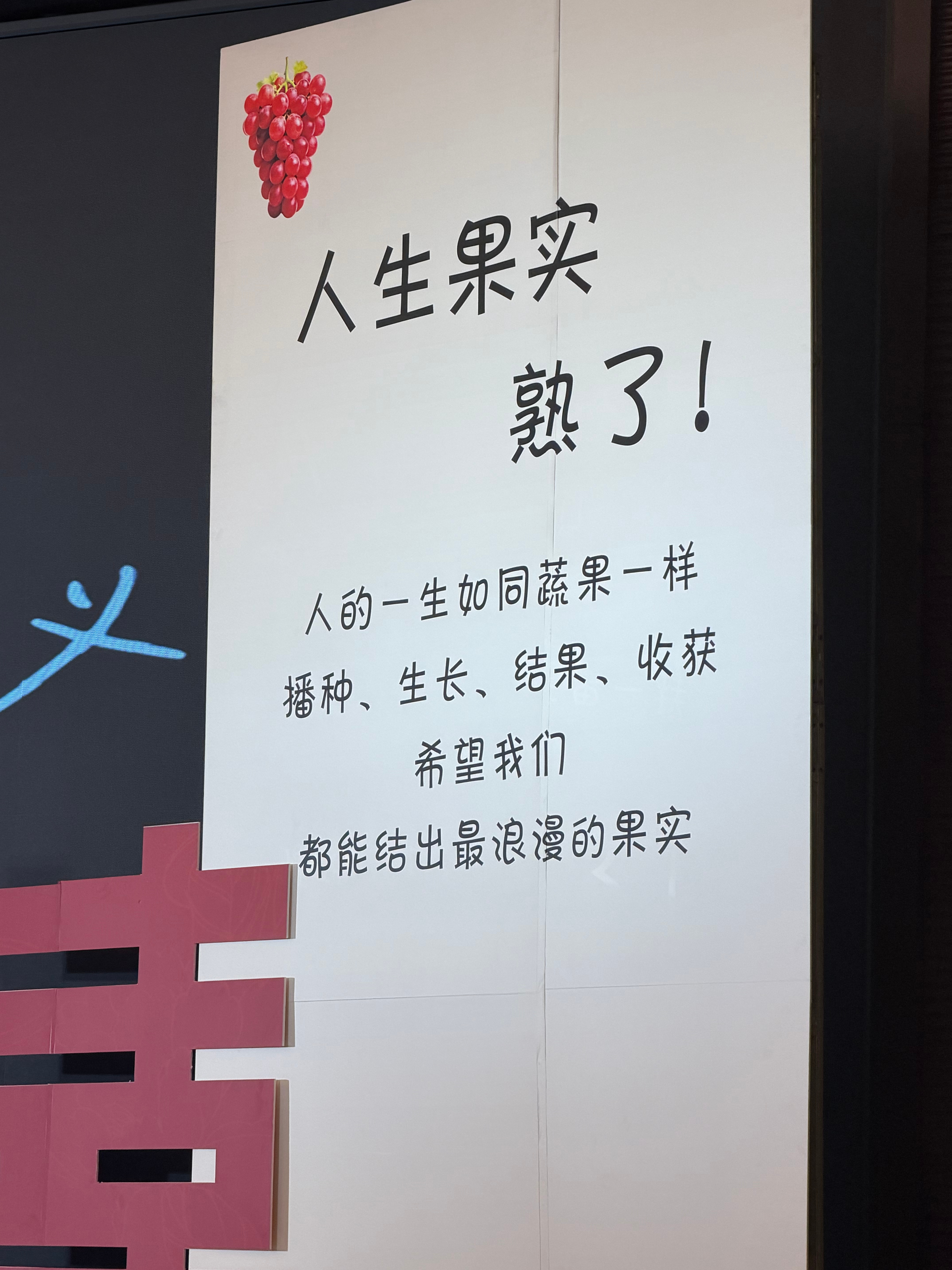 恰席了为参加每一次婚礼而感到开心 