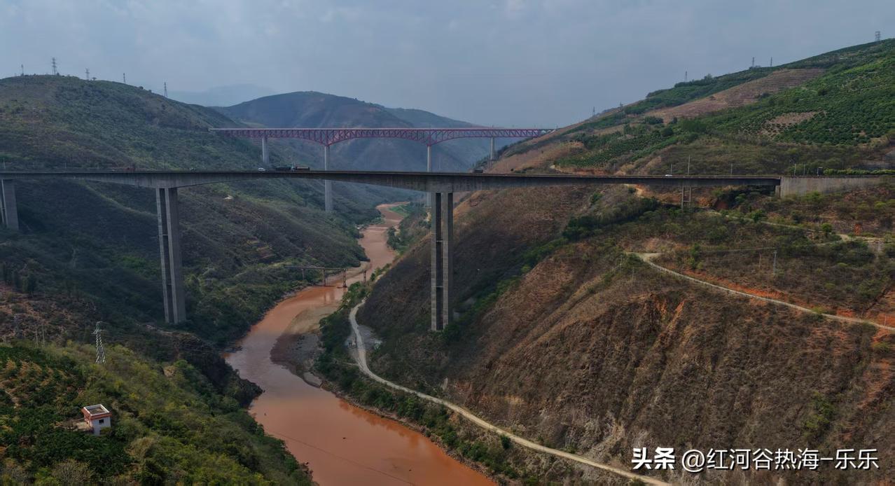 量化会对市场造成毁灭性打击！
量化基金不仅收割散户，也收割柚子，收割机构，量化吃