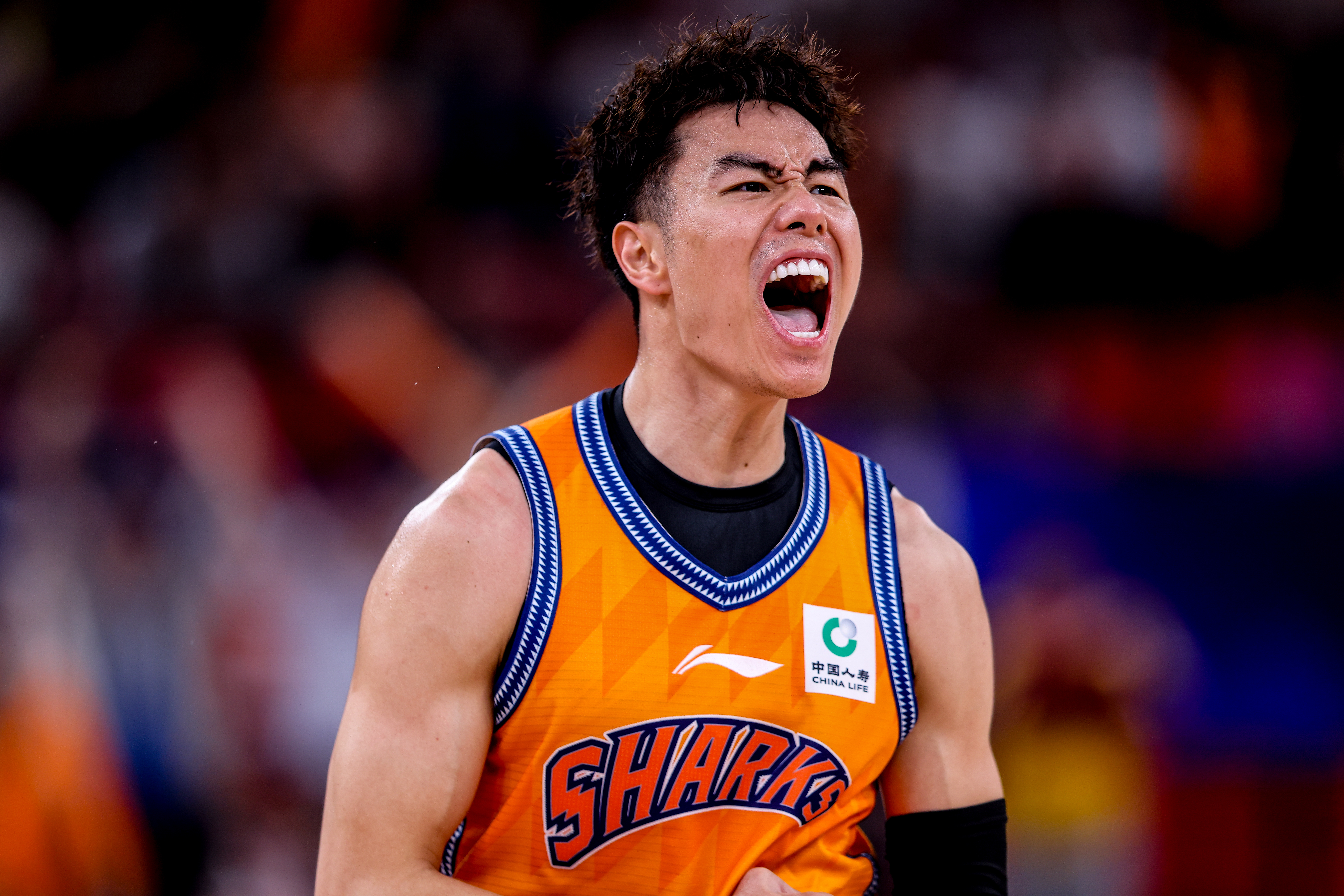 TR 🔥🔥🔥上海久事大鲨鱼