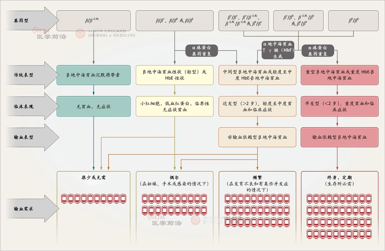 邓紫棋患地中海贫血¹ 准确说邓紫棋是确诊了，不是突然患病。这个病从出生就有，现在