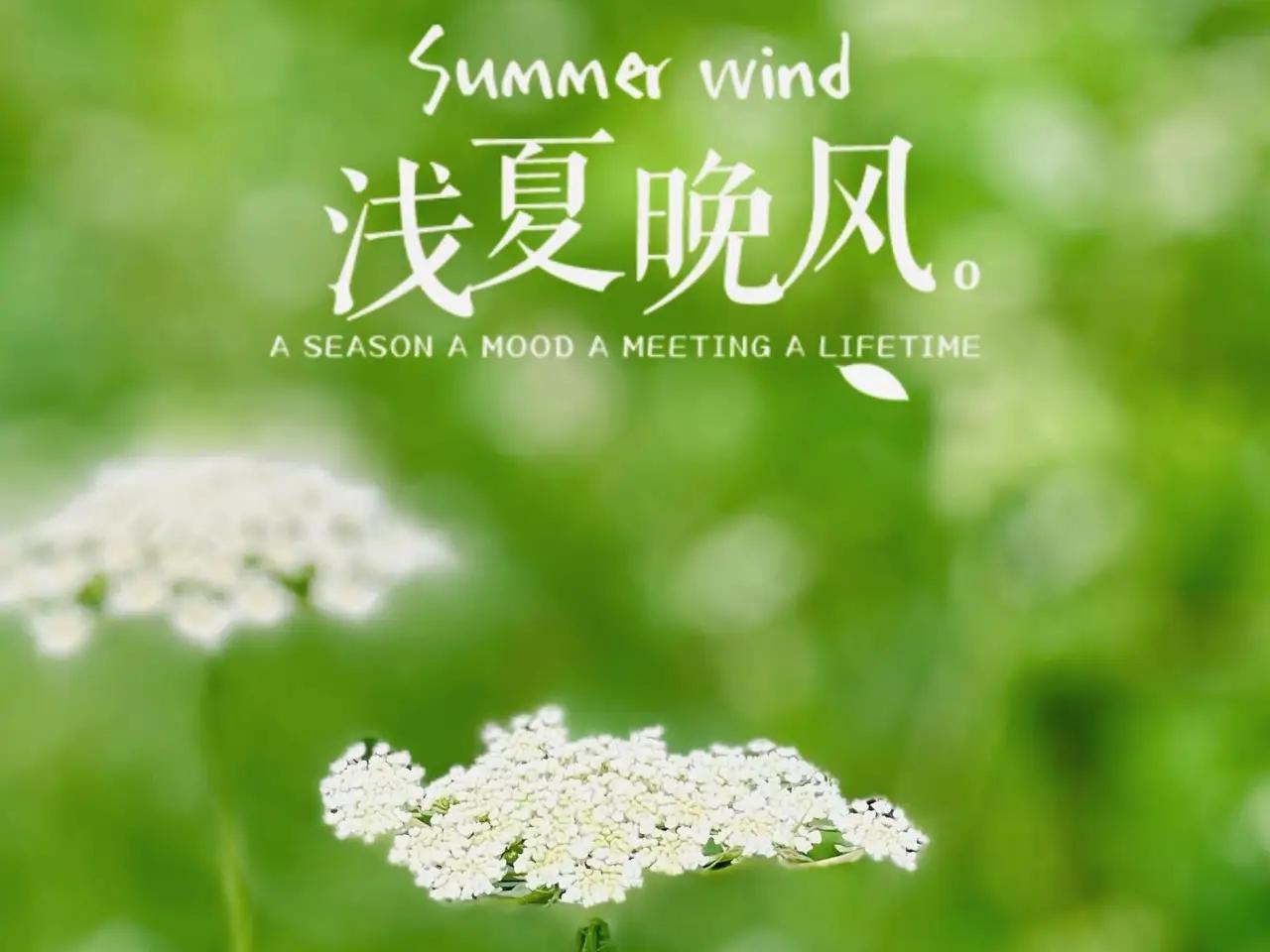 这段时间，对头条越来越懒怠了，情愿在手机上无聊的东溜西逛，情愿蹲在马路上看蚂蚁打