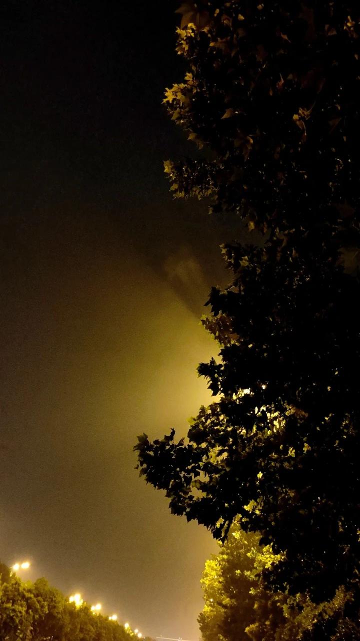 这世上最硬的墙，不是水泥砌的，是一个人脑子里认定的事。

婶子就是那堵墙。她把田