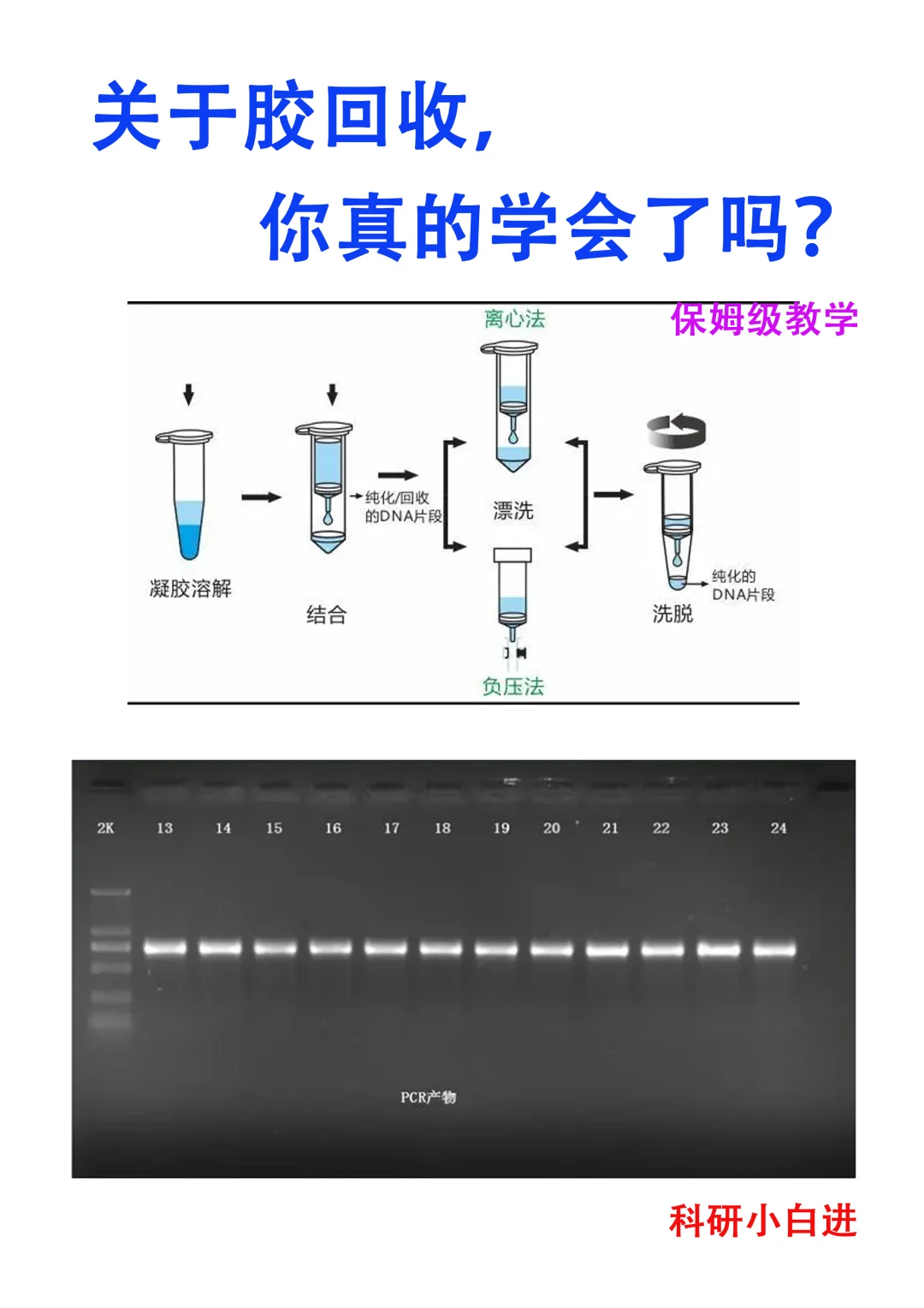 做了这么久的胶回收，你真的会了吗？