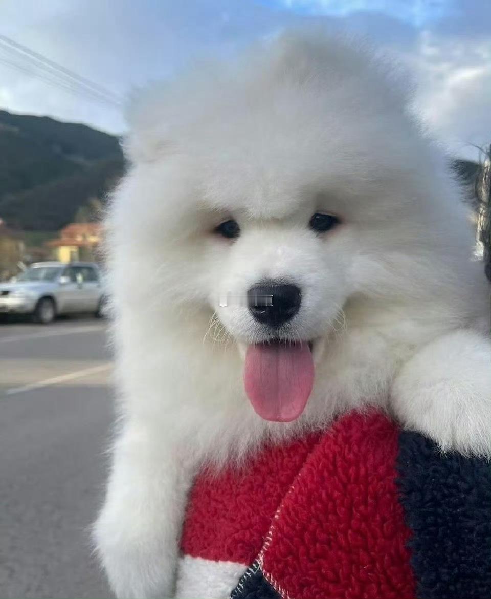 月底前，你会暴富，特别灵！ 