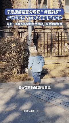 太有爱了！近日山西，女子开车出门时发现车底下有只流浪猫，想把猫赶出来结果猫守在车