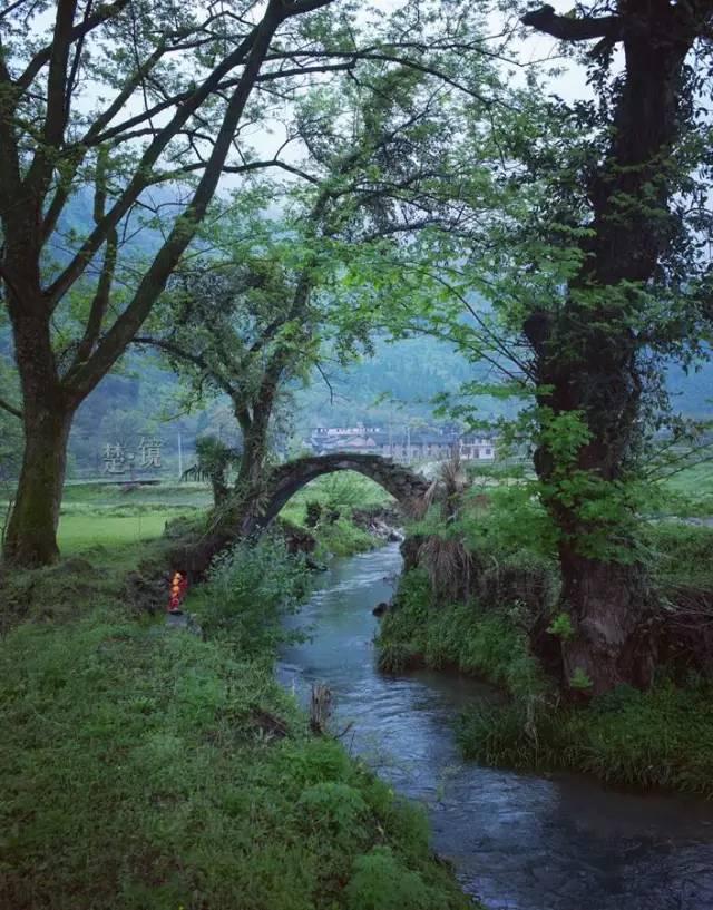 “古桥横卧绿水间，静谧乡村入画来”🍃🏞️