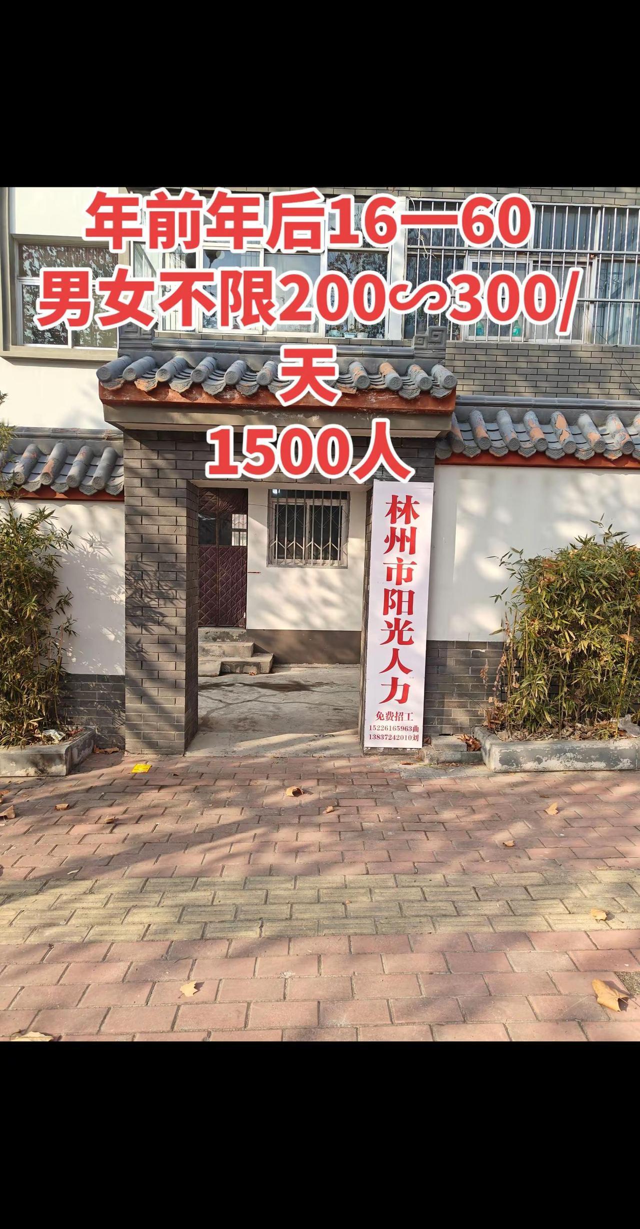 大龄工