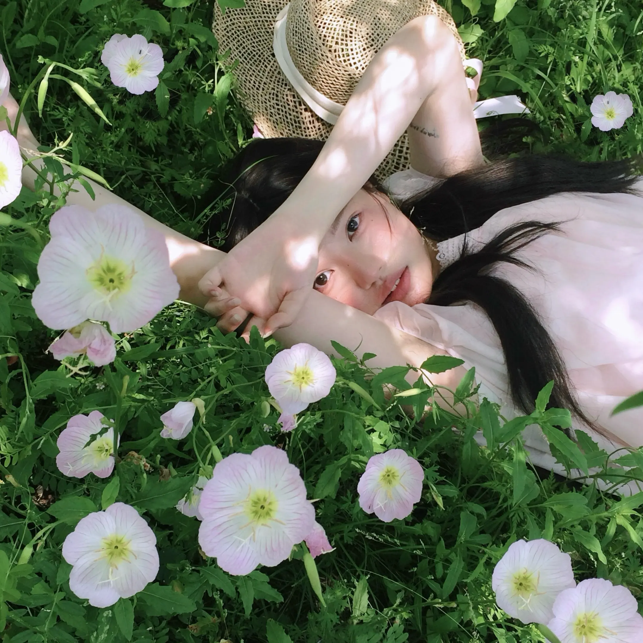 见信好 我们会在春天相见的