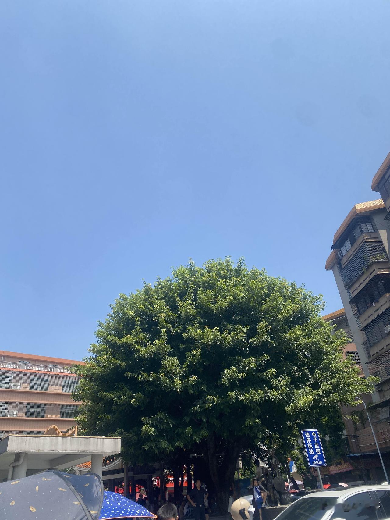 别只说“生日快乐”，我妈这一句土味祝福，把祖国过成了自家灶台上的热饭

晚上我妈
