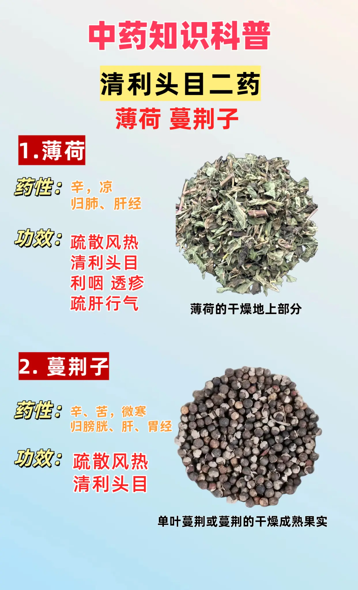 清利头目二药：薄荷 蔓荆子。