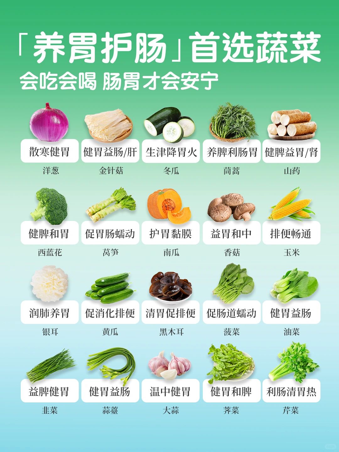 常见养胃｜护脾｜润肠🥬蔬菜速查🔍