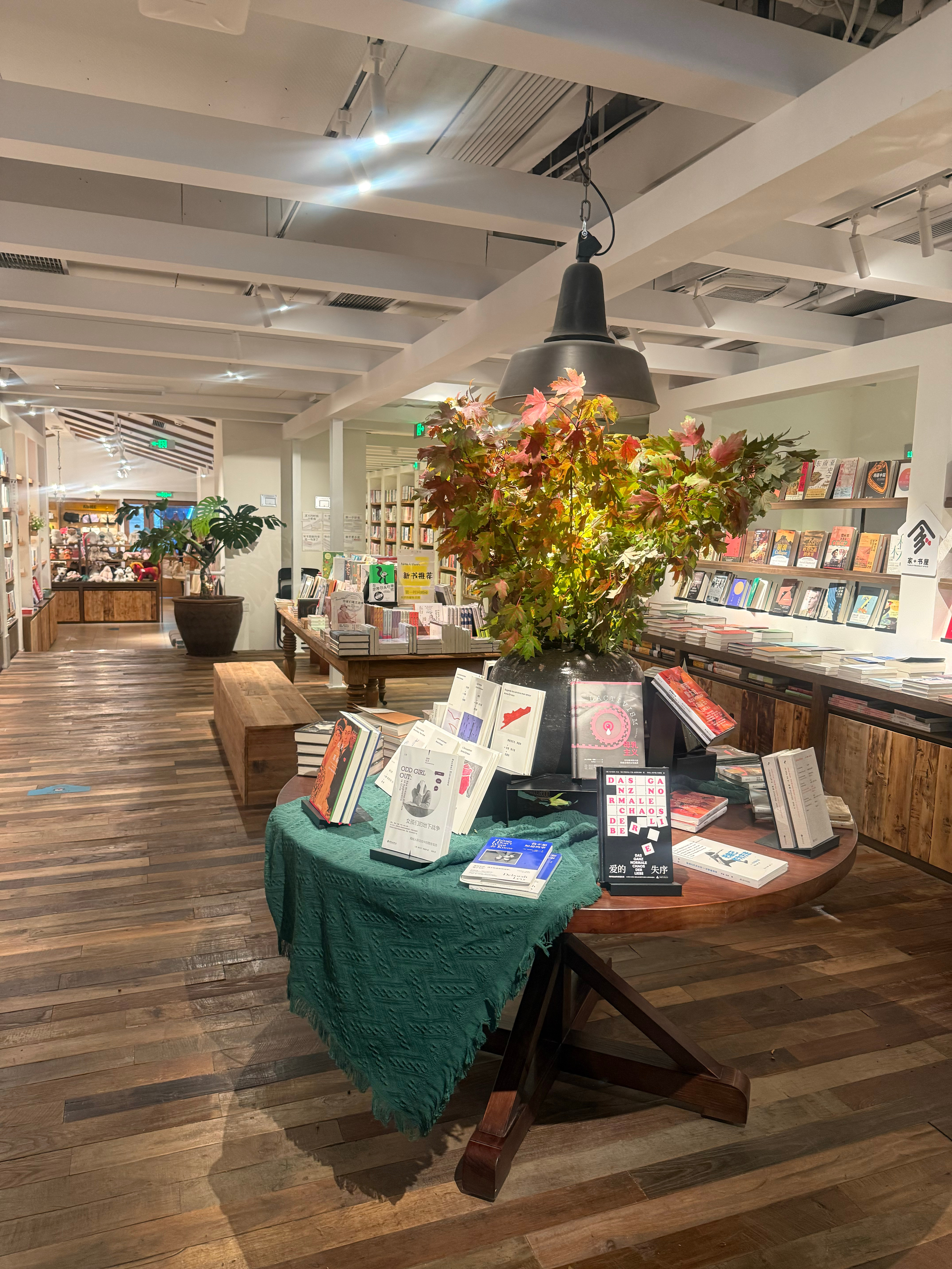 出来玩了阿萌带我来一家很棒的书店前滩的新山书店这家店品味不错，很多书都值得一看 