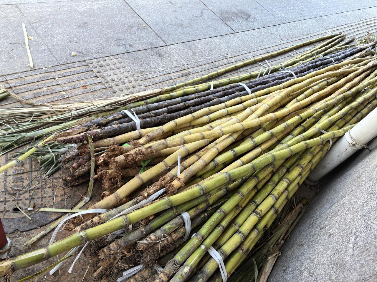 楼下水果店进新装备了
      晨跑结束，路过楼下水果店，相熟的老板娘热情的叫