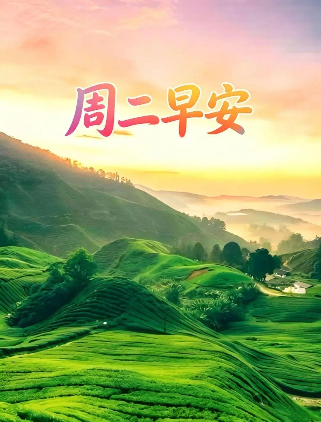 我认为应该网络游戏一旦玩上，很难克制