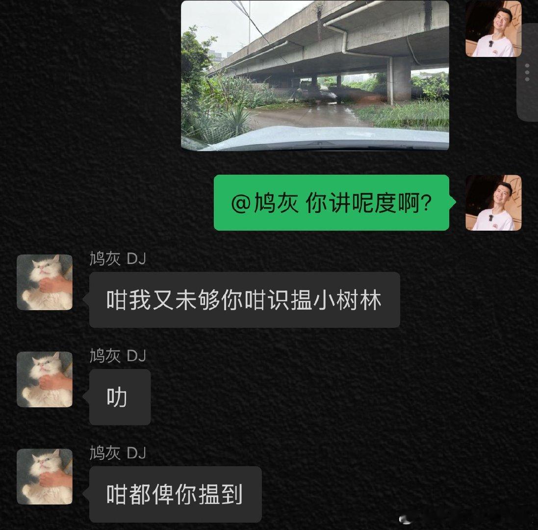来自豆包的暗示，和来自导演的肯定