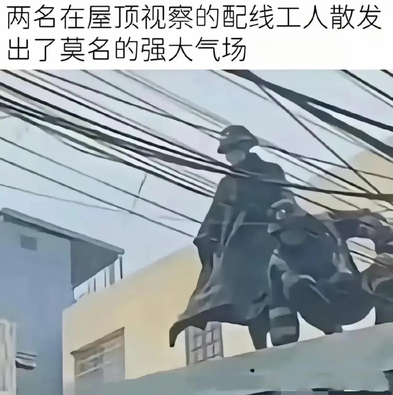 挺帅的[狗头]