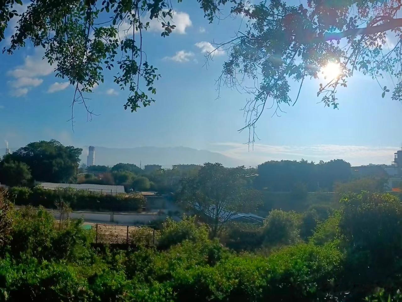 与武大毕业生一起在京工作时，住一间宿舍。
女生们早上起来，都会尖叫：呀，快看，毛