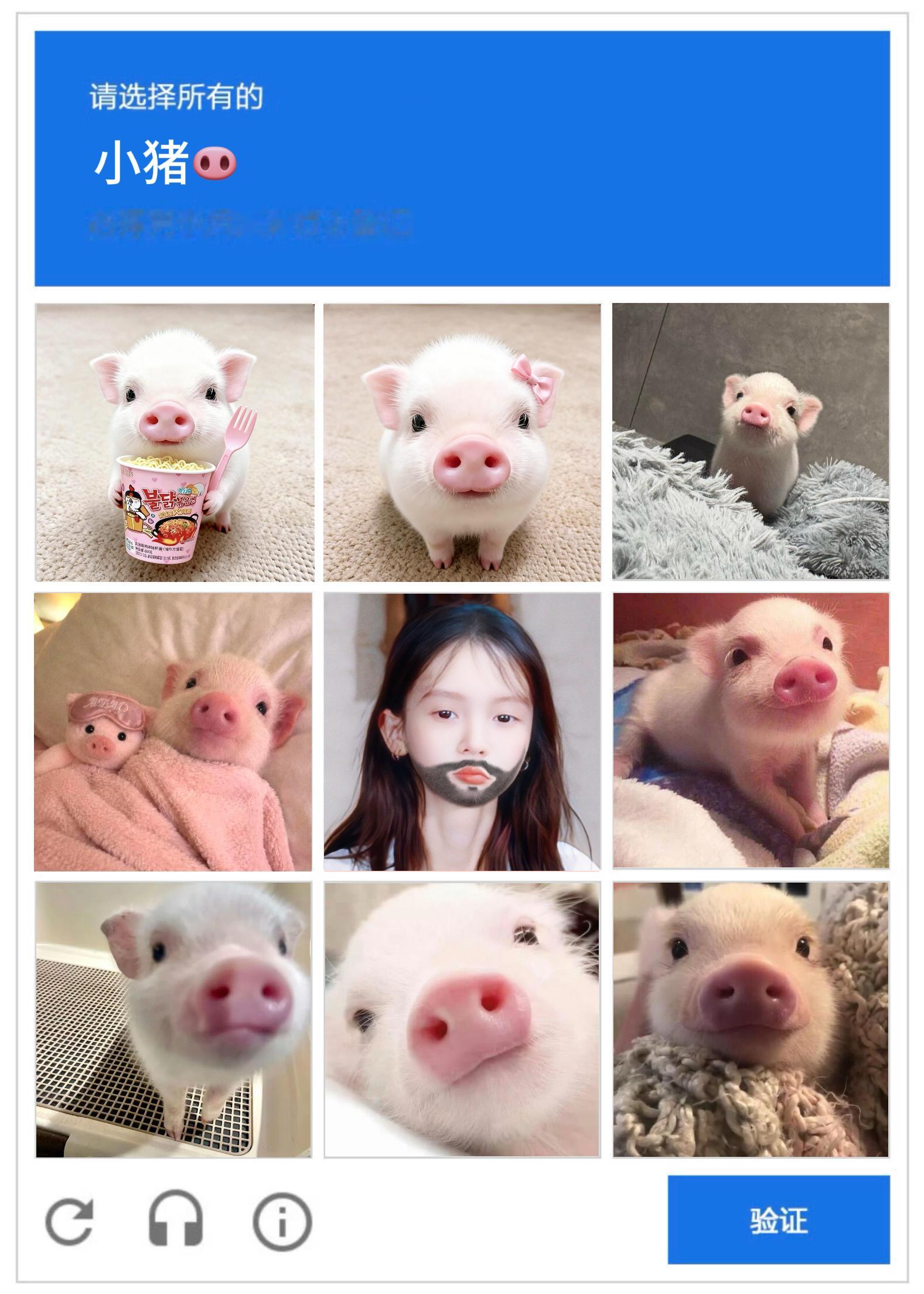 全微博张贴寻猪啟示 ​​​