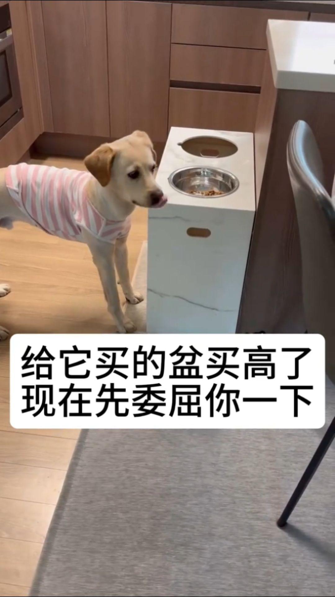 没事的，很快就会长高的
