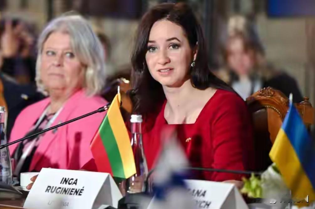 改名四年，立陶宛算总账：赚了虚名，亏到骨子里

四年前立陶宛敢把“台北”改成“台