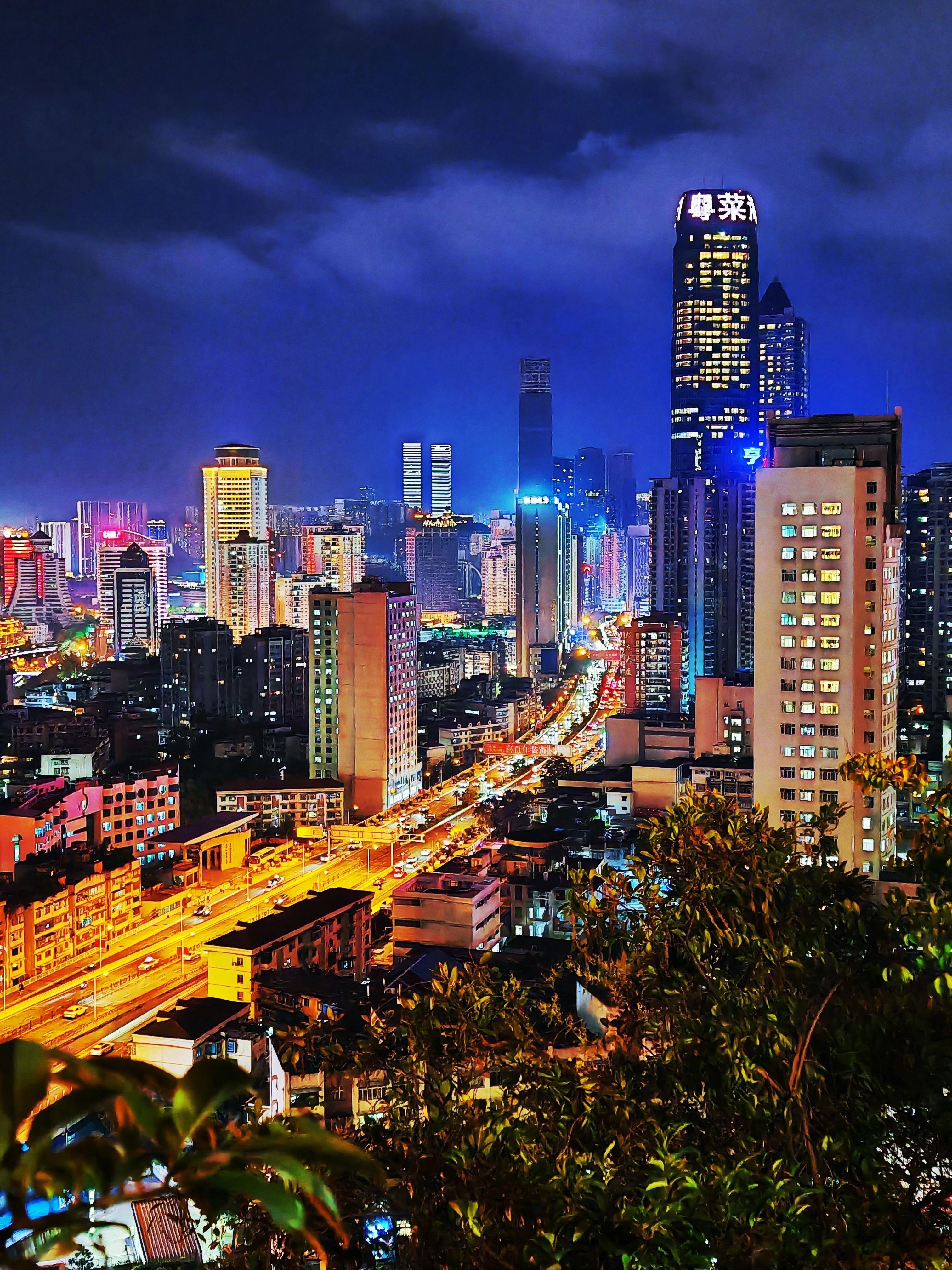 草木心·默斋主人原创自由诗草木无心系来路，乘风俯仰，随叶归根。一朝花开，便倾尽温