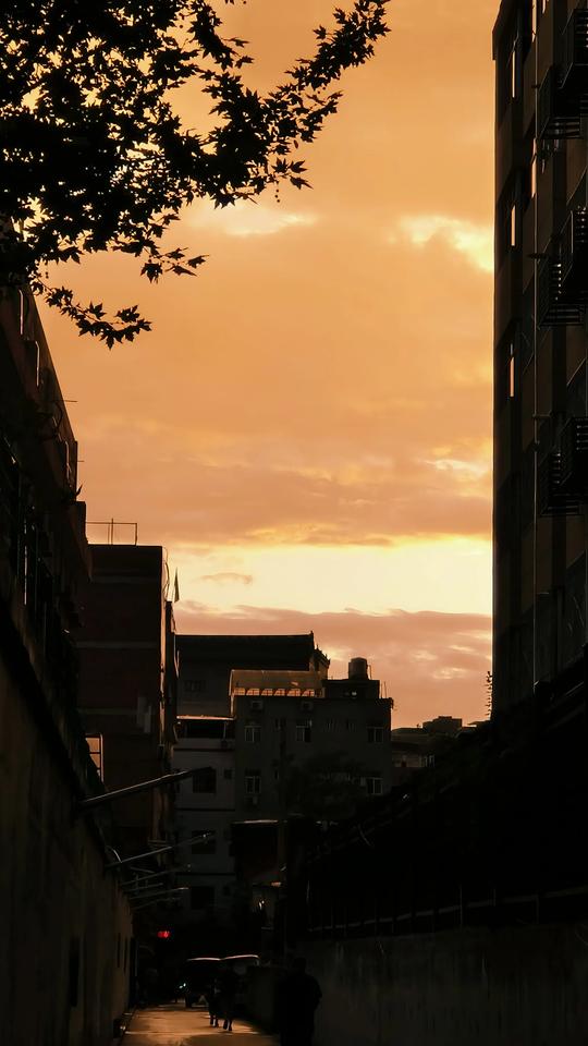 分享随手拍下的夕阳 分享我随手拍的夕阳，它们就像生活里的小确幸。
有次加班到傍晚