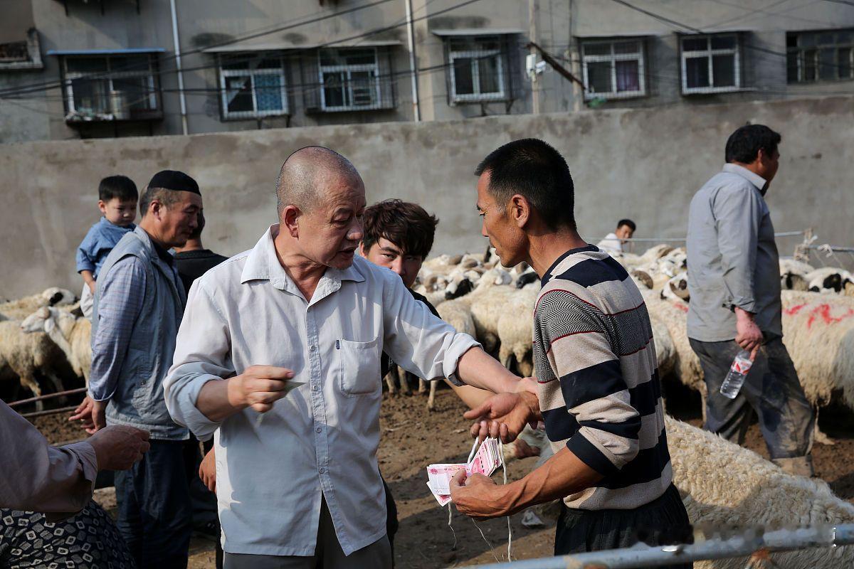 低保户、五保户完全是农村的富裕富，比有儿有女的老人过得还消洒，他们每天几手都是下