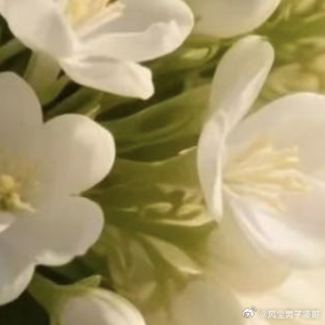 生活手记哪怕只是给失意的人一个鼓励的眼神，也能成为对方重新振作起来的勇气与力量。