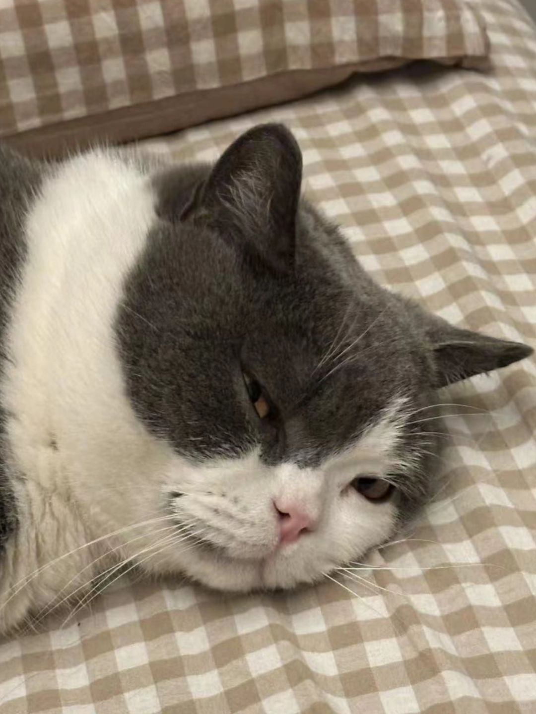 妈说咱是不是有点猥琐了