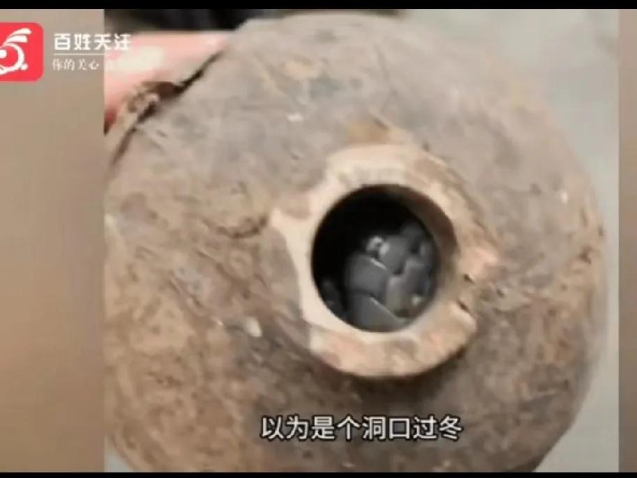 胆子真大！湖南icon一男子捡到个酒瓶，以为是古董，就踢了一脚！

湖南大哥这波