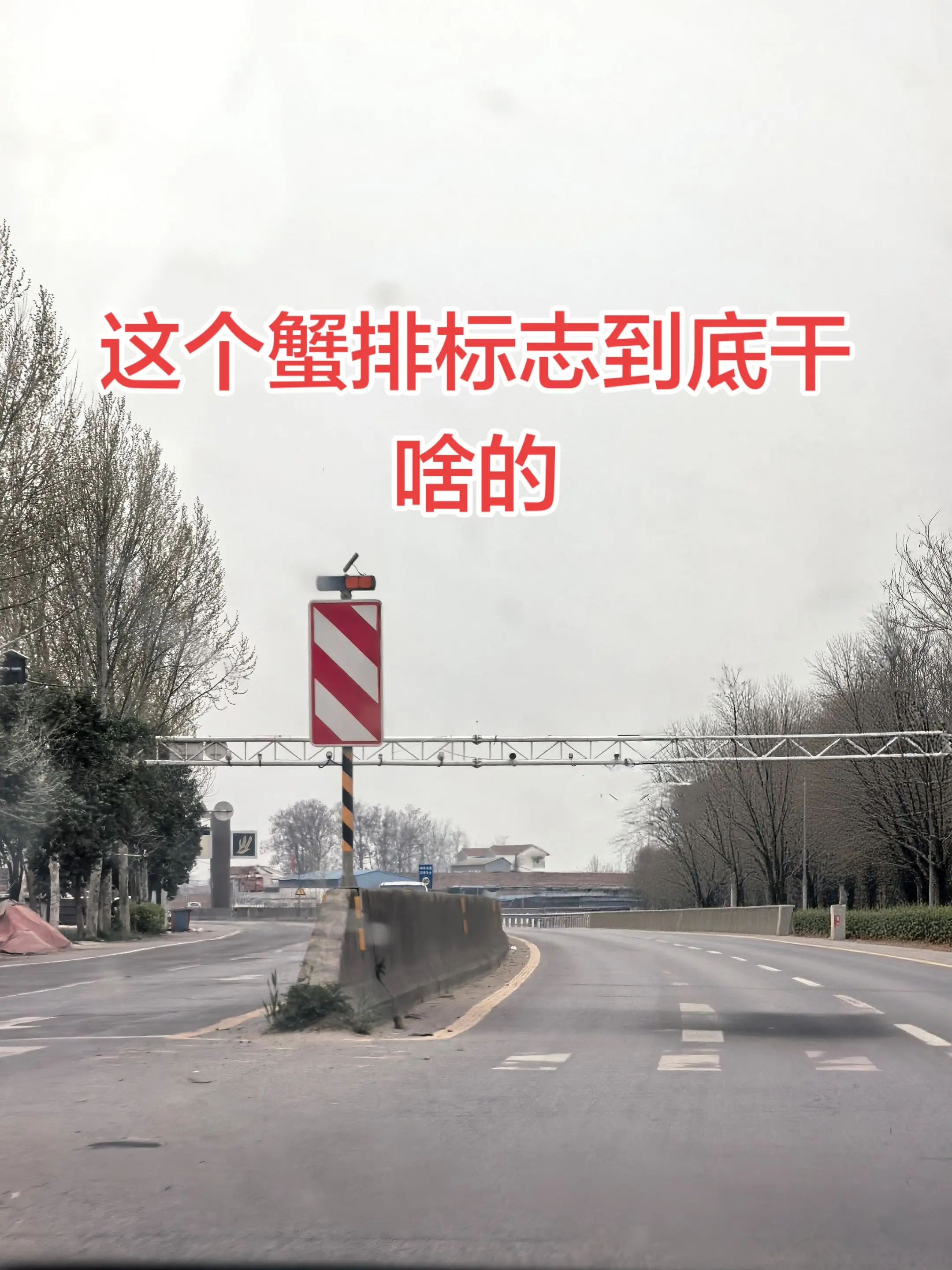 一路的蟹排看的我都饿了，咱也不知道这标志到底啥意思