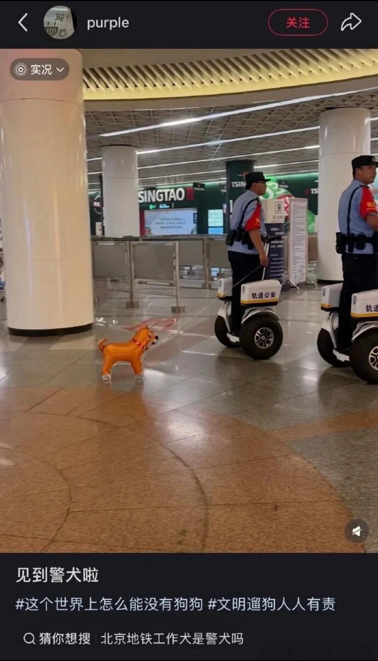 6471俺也是见到警犬啦 