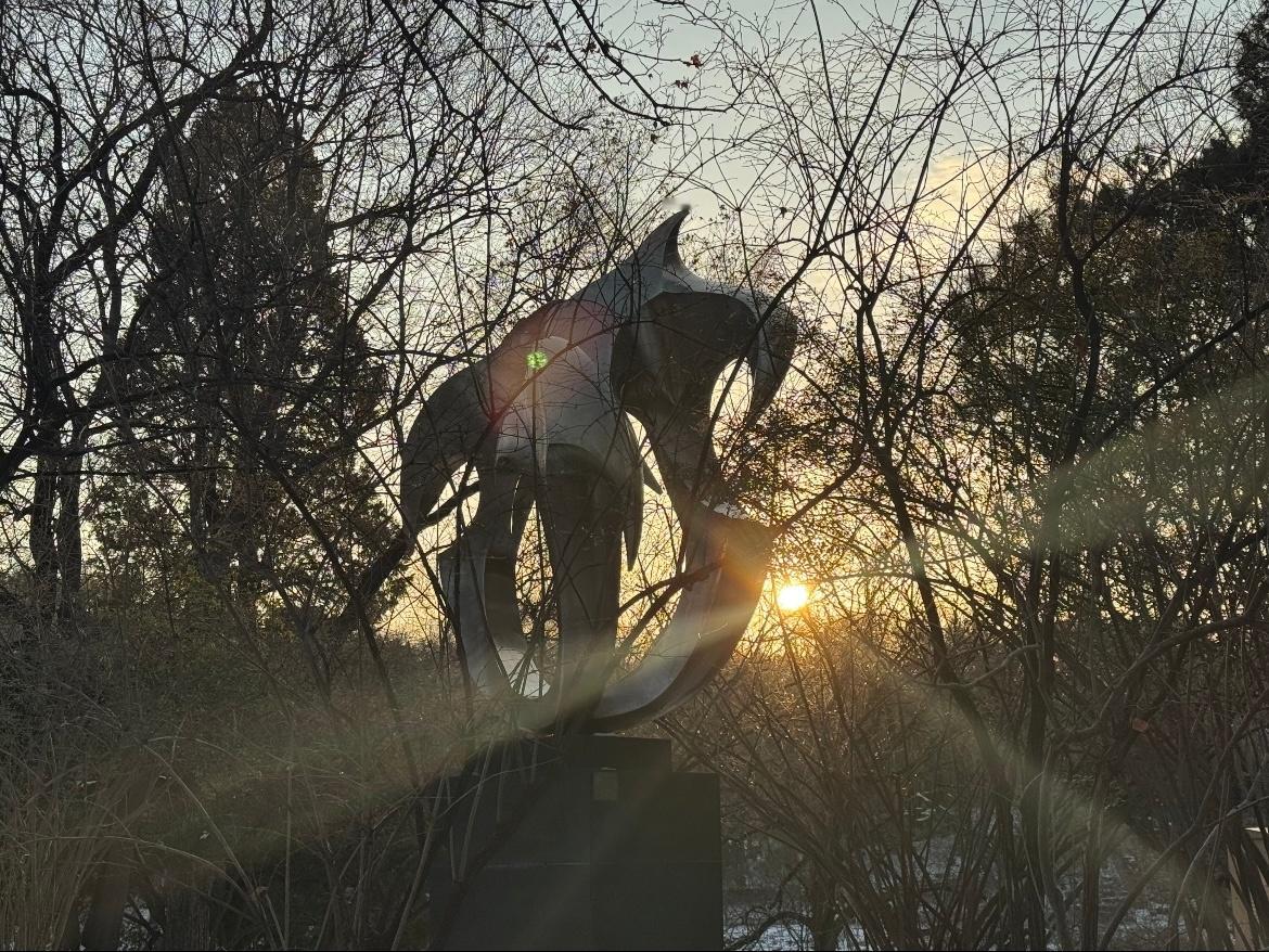 好久不见的太阳图☀️ 俺不中了湖那个更是大的离谱 