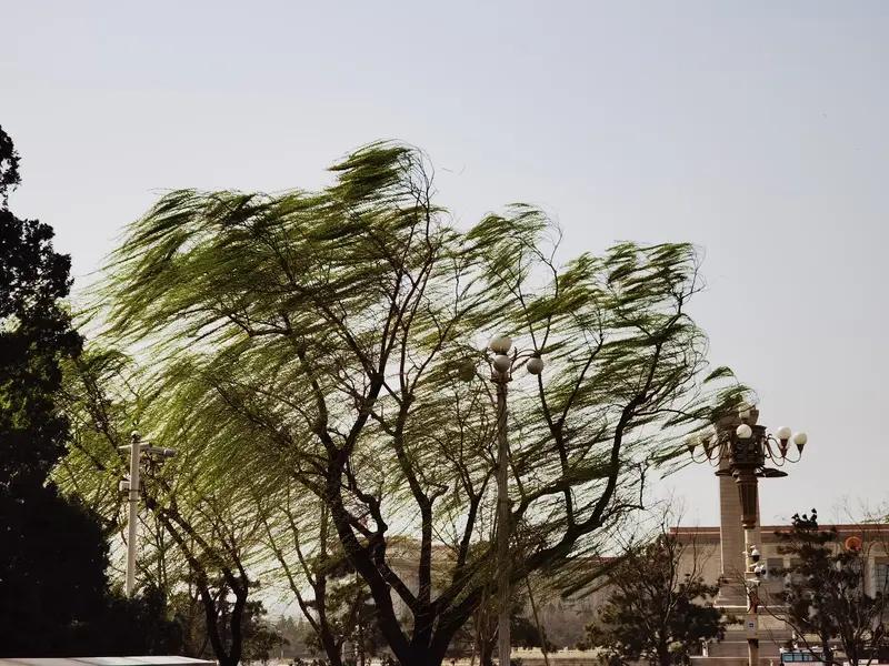 大理这大风预警来得猝不及防！2026年3月7日12时10分，大理市气象台发了大风