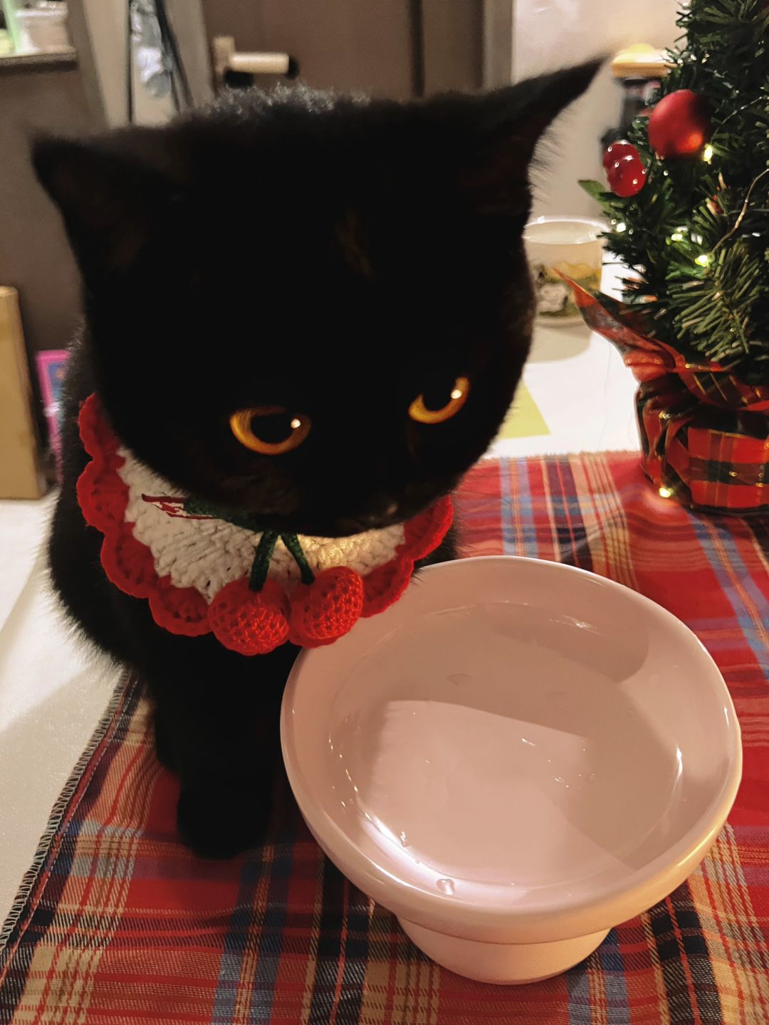 ee开门！你的礼物到啦！